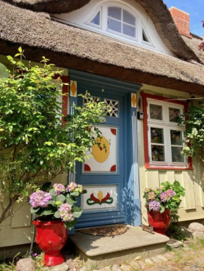 Haus am Hafen - Kaminfeeling unter Reet, Garten mit Terrasse Prerow